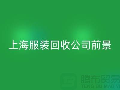 庫存輔料回收市場(chǎng)分析表的深入解析及前景展望-上海服裝回收公司