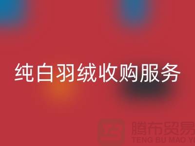 【環(huán)保與效益并存】庫存羽絨回收與純白羽絨收購服務(wù)