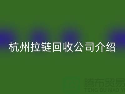 庫(kù)存拉鏈回收市場(chǎng)前景分析——杭州拉鏈回收公司篇