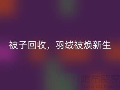 全新被子回收，羽絨被煥新生——江蘇南通家紡城引領綠色未來