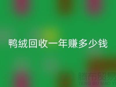 鴨絨回收一年掙多少錢？揭秘利潤與環保的雙重收益