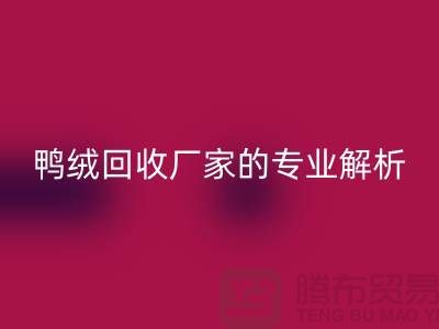 90%白鵝絨、90%白鴨絨與90%灰鴨絨：上海鴨絨回收廠家的專業解析