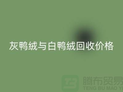 ### 灰鴨絨與白鴨絨：價格及回收詳解