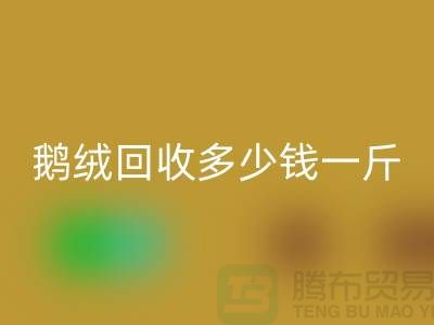 加拿大鴨絨回收公司探秘——鵝絨回收多少錢一斤