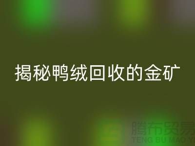 揭秘鴨絨回收的金礦，一年能掙多少錢？上海羽絨回收廠家