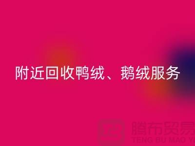 附近回收鴨絨、鵝絨和羽絨的優(yōu)質(zhì)服務(wù)——上海騰布貿(mào)易有限公司