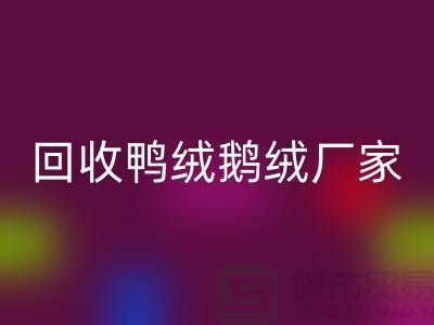 探尋高品質(zhì)回收鴨絨鵝絨廠家