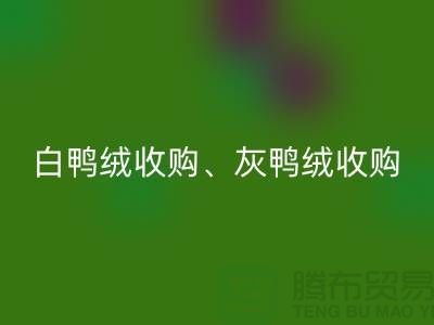 白鴨絨收購、灰鴨絨收購、白鵝絨收購、灰鵝絨收購、上海羽絨回收廠家