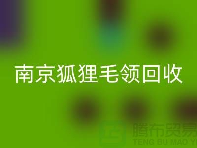 《南京狐貍毛領回收廠家：誠信可靠，同城交易更放心》