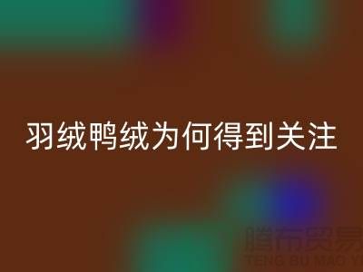 羽絨鴨絨回收公司為何得到所有人關(guān)注_上海騰布貿(mào)易有限公司