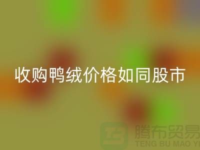 收購鴨絨價格如同股市一樣飄泊不定-鄭州庫存鴨絨回收廠家