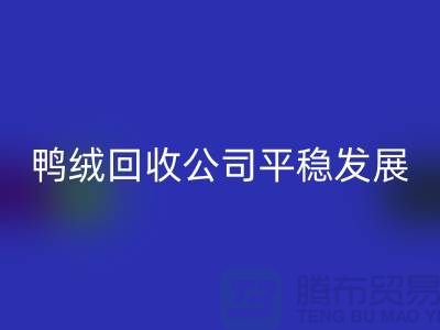 舊鴨絨回收公司商家更加的平穩(wěn)發(fā)展_上海騰布貿(mào)易有限公司