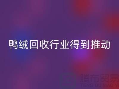 90鴨絨回收行業(yè)2021年得到極大的推動_上海騰布貿(mào)易有限公司