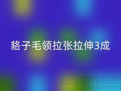 貉子毛領(lǐng)的皮張拉伸3成，痕跡客戶(hù)也看不出來(lái)-回收毛領(lǐng)廠(chǎng)家