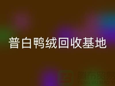 普白鴨絨回收基地：環保與經濟的完美結合-純白鵝絨回收廠家