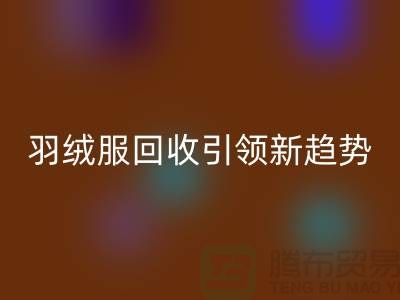 環(huán)保時(shí)尚潮流：羽絨服回收引領(lǐng)新趨勢(shì)