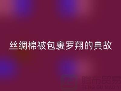 絲綢棉被包裹羅翔的典故