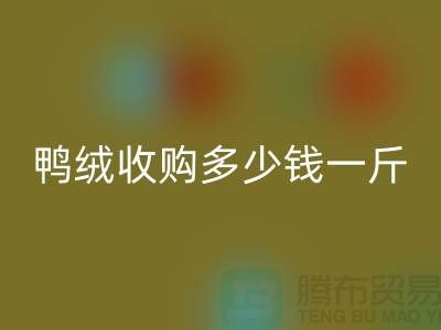 灰鴨絨、白鴨絨收購多少錢一斤
