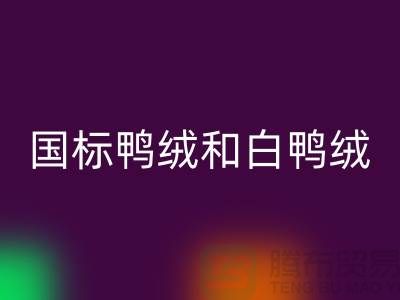 新國標鴨絨和白鴨絨的區別