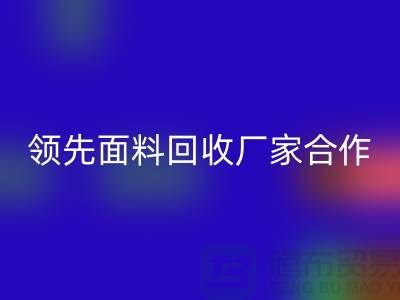 ### 閃耀行業：與領先針織面料回收廠家合作