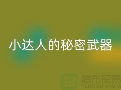 環(huán)保小達(dá)人的秘密武器：廢布邊角料回收公司的引領(lǐng)力