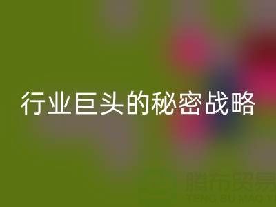 上海庫(kù)存布料回收市場(chǎng)：揭秘行業(yè)巨頭的秘密戰(zhàn)略