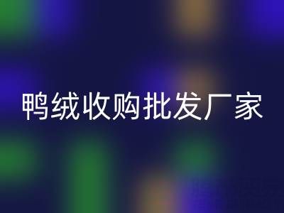 鴨絨收購批發廠家主營產品全解析