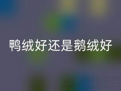 羽絨服是鴨絨好還是鵝絨好——羽絨生產廠家來解讀