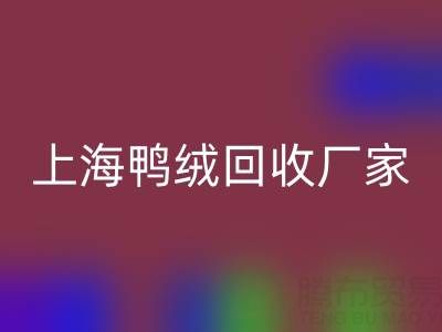 羽絨被內膽布料選購指南：上海鴨絨回收廠家的專業建議
