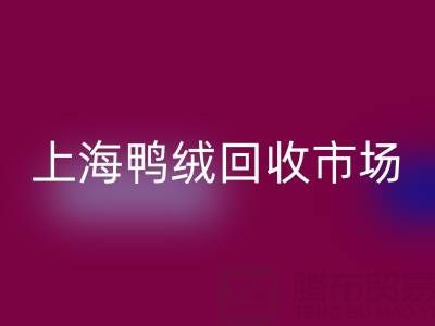 上海鴨絨回收市場解析：羽絨被回收價格的決定因素與產業價值