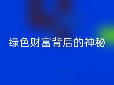 探秘上海庫存真絲回收廠家：綠色財富背后的神秘世界